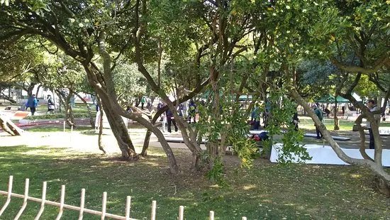 Clube de Minigolfe do Porto
