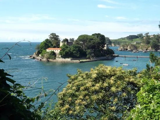 Isla De Santa Cruz