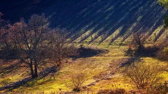 Domaine Val d'Iris