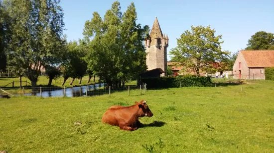Seven Towers Farm (Zeven Torentjes)