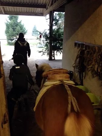 Ecuries de la Cavee