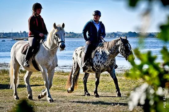 La Caleche de Sene - Balade a cheval