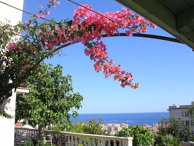 Superb Panoramic sea and mountain facing south Very quiet
