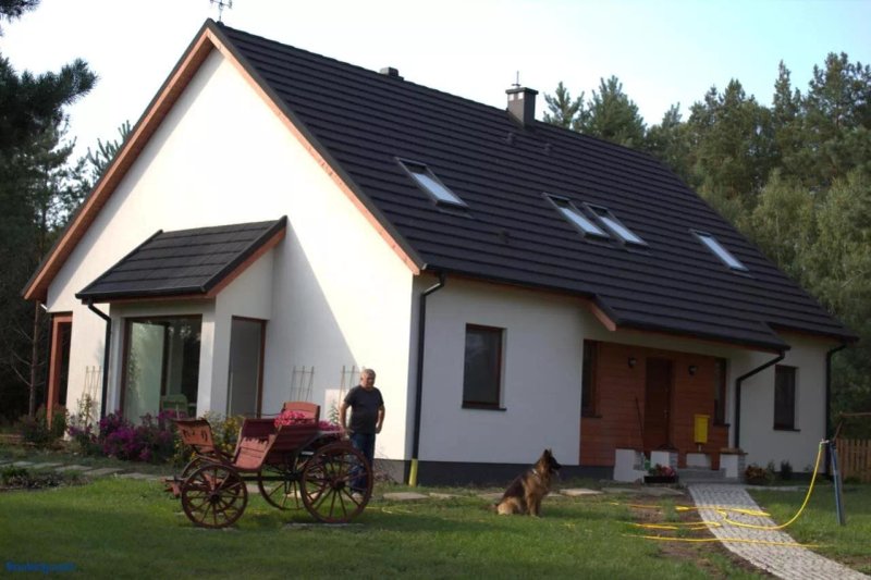 Koci Grzbiet