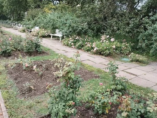 Rosengarten