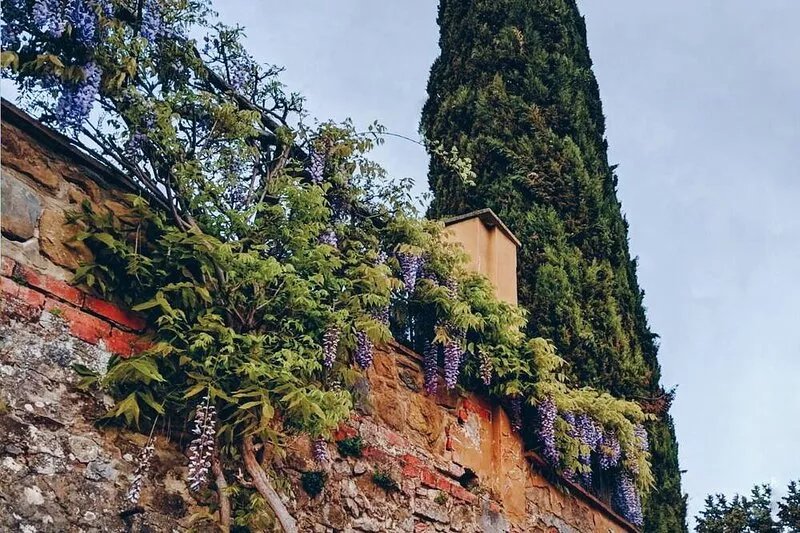 Brilliant Home in Chianti, Tuscany with Pool & Gardens