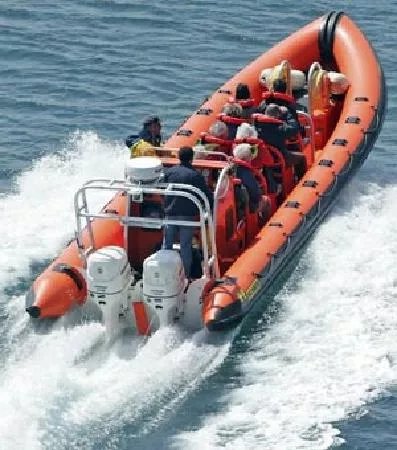 Isle Of May Boat Trips