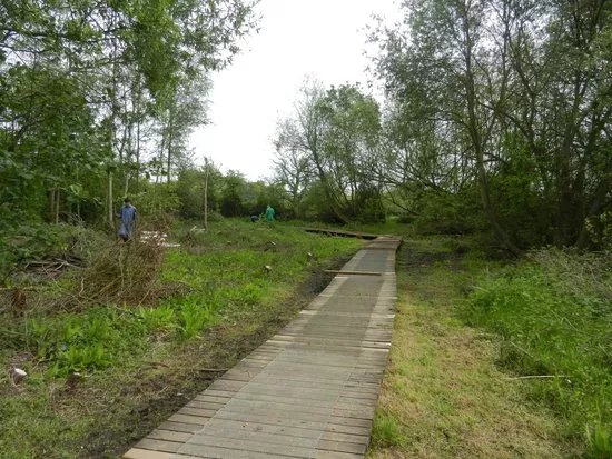 Cymbeline Meadows