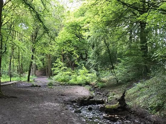 Fairy Glen
