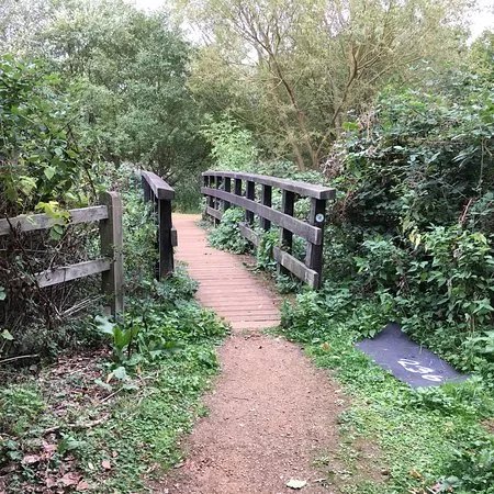 Harmondsworth Moor