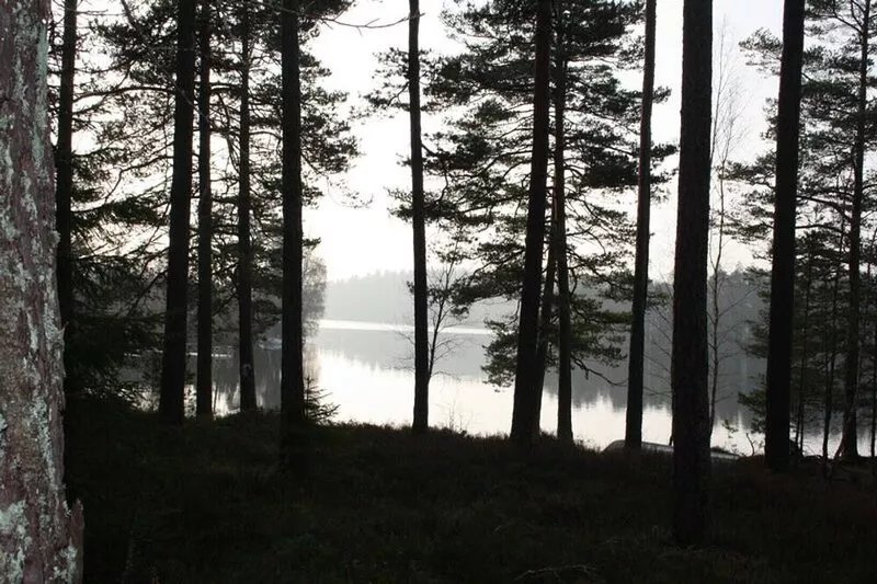 Holiday home with a view of the lake