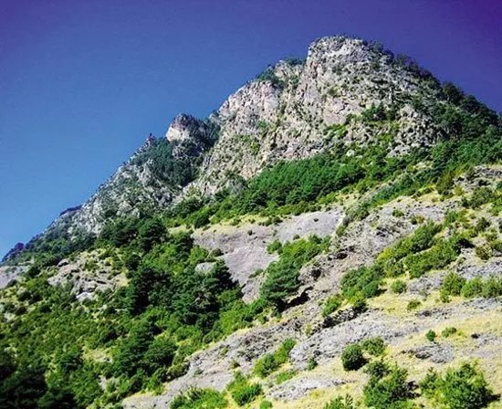 Cami de Rocafort