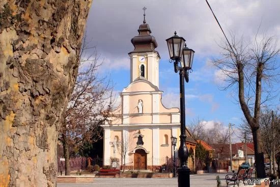 Roman Catholic Church