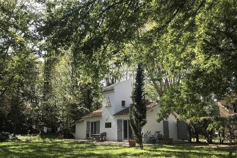 Quiet cottage for 2-4 people in the countryside in the Camargue