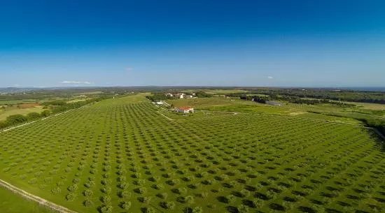 Farma Jola Poljoprivredni Obrt