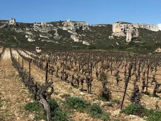 Chateau Calissanne
