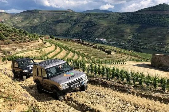 Grapeland Adventure and Tourism