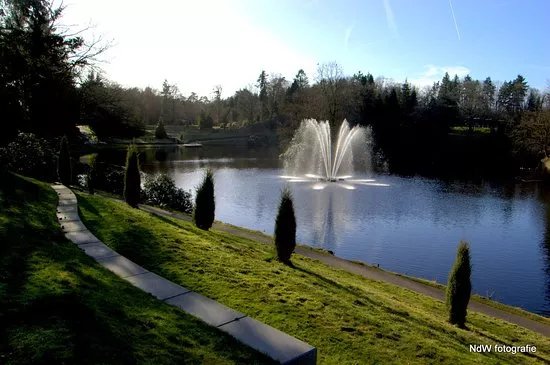 Park Berg en Bos