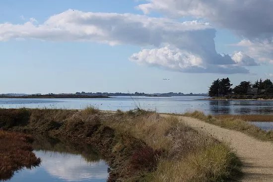 Marais de Lasne