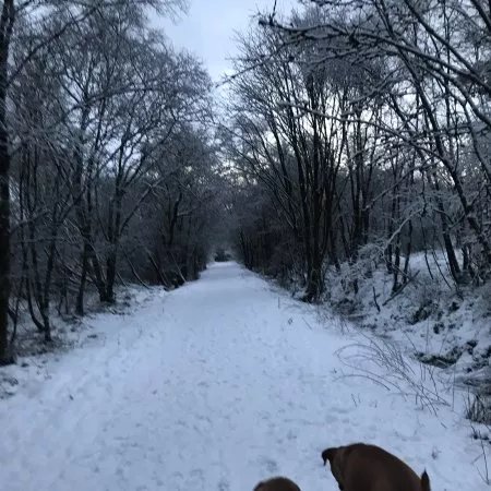Cumbernauld House Park