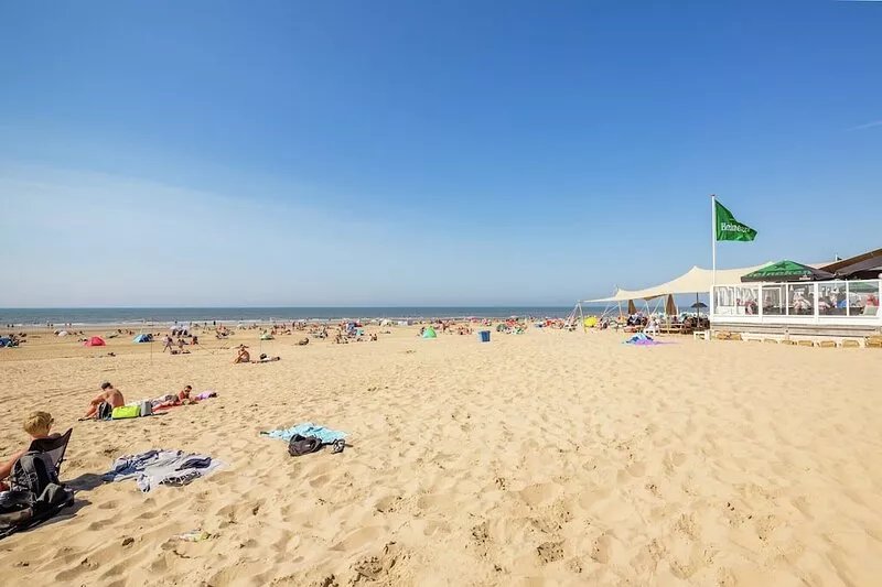 Comfortable chalet in the dune area of Egmond aan Zee
