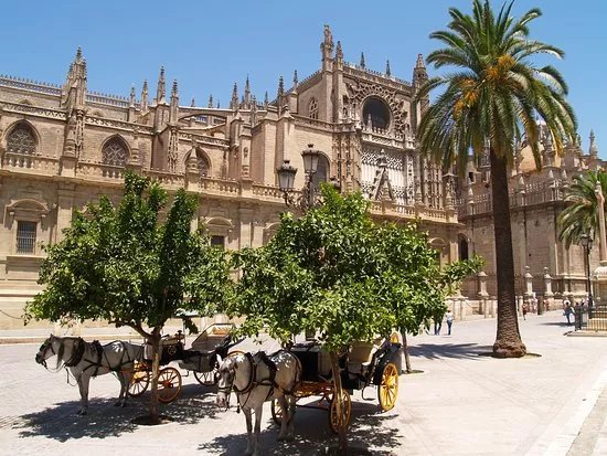 OWAY Tours Sevilla