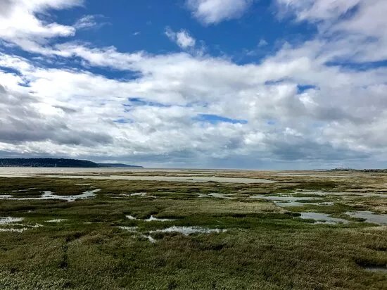 Reserve Naturelle Nationale de l'Estuaire de la Seine