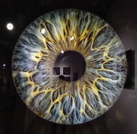 Eye Origin