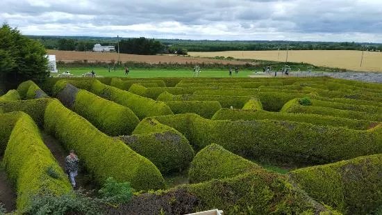 The Kildare Maze