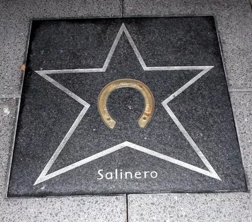 Walk of Fame in der Soers