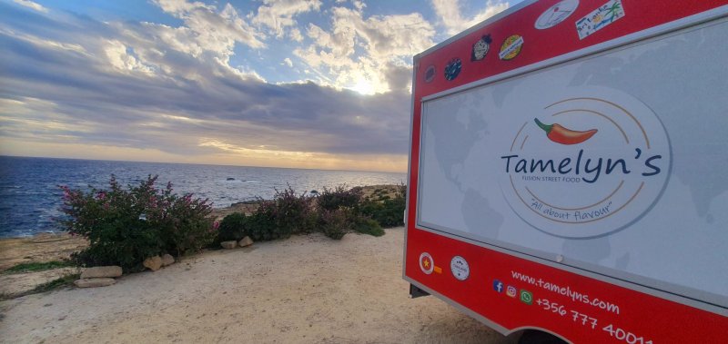 Tamelyn's- fusion street food