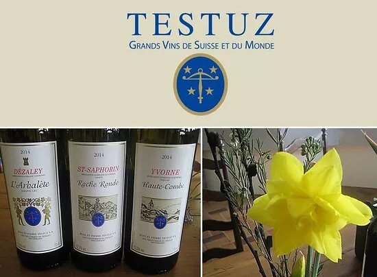 Vino de Testuz