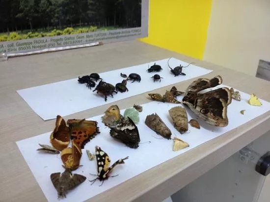 EcoMuseo CEA Val Sarmento