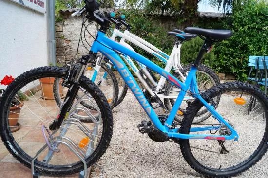 Montona Tours - Rent a Bike Point Motovun