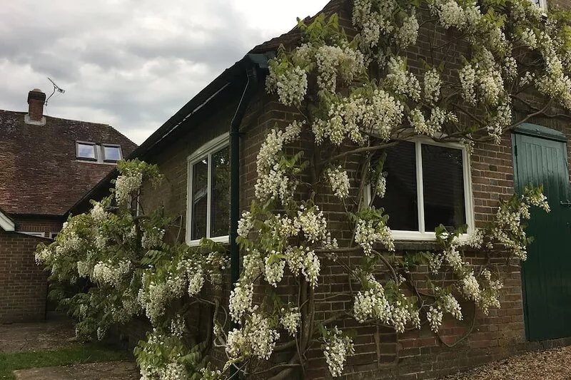Charming detached cottage in peaceful, rural setting with woodland & ponds