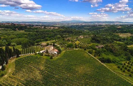 Azienda Agricola La Lastra