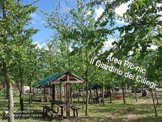 Il Giardino Dei Ciliegi - Area Picnic