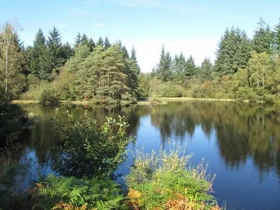 Galloway Forest Park