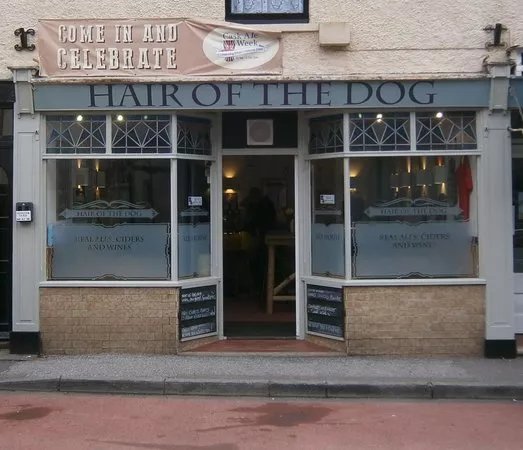 Hair Of The Dog