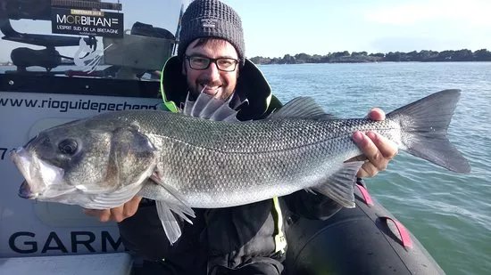 Mickael Rio - Guide de Peche - Golfe du Morbihan