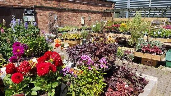 Lichfield Garden Centre