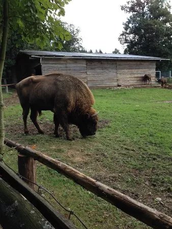 Wildtierpark Edersee