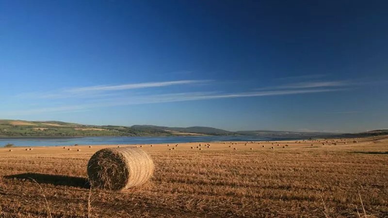 Osprey Cottage - situated in a convenient but peaceful location