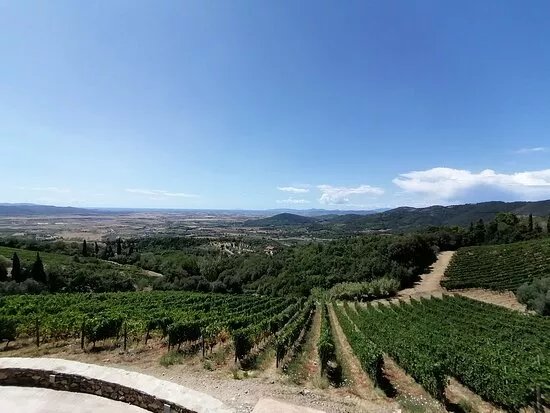 Azienda Agricola I Mandorli