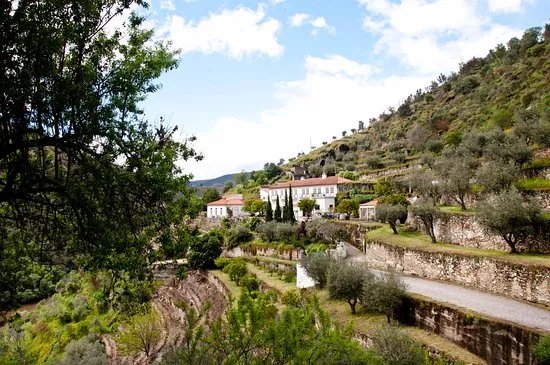 Portugal Excellence Tours