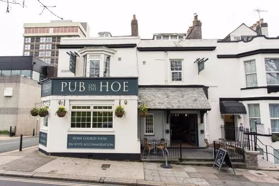 The Gipsy Moth