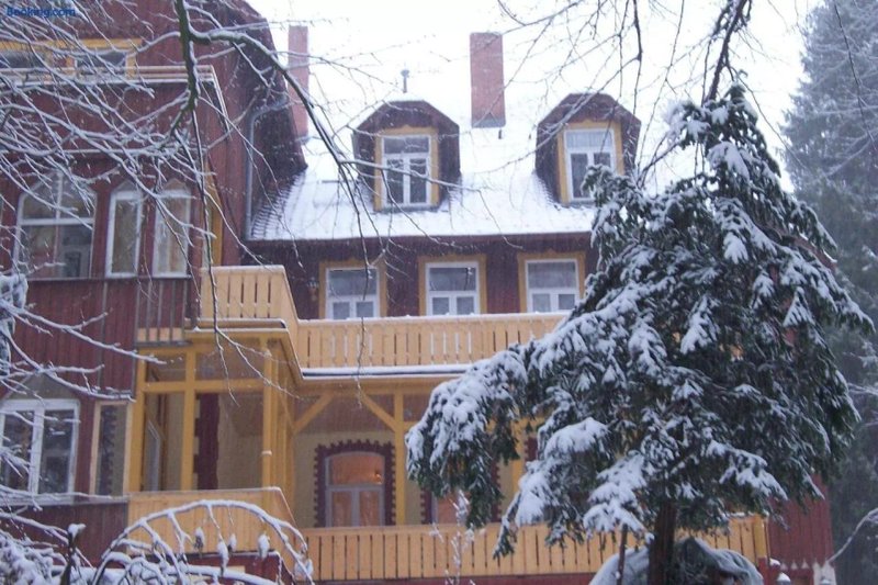 Forest-Lodge