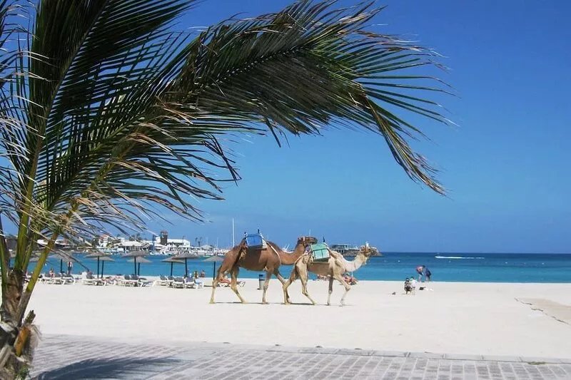 Comfortable large finca - Away from mass tourism - Central island location