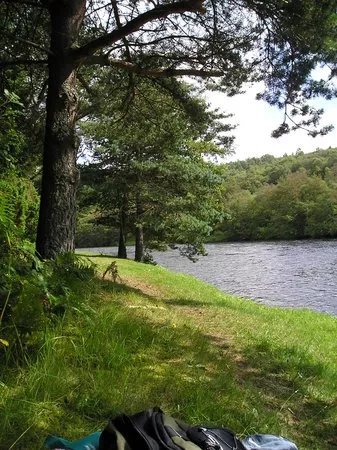 Anagach Woods