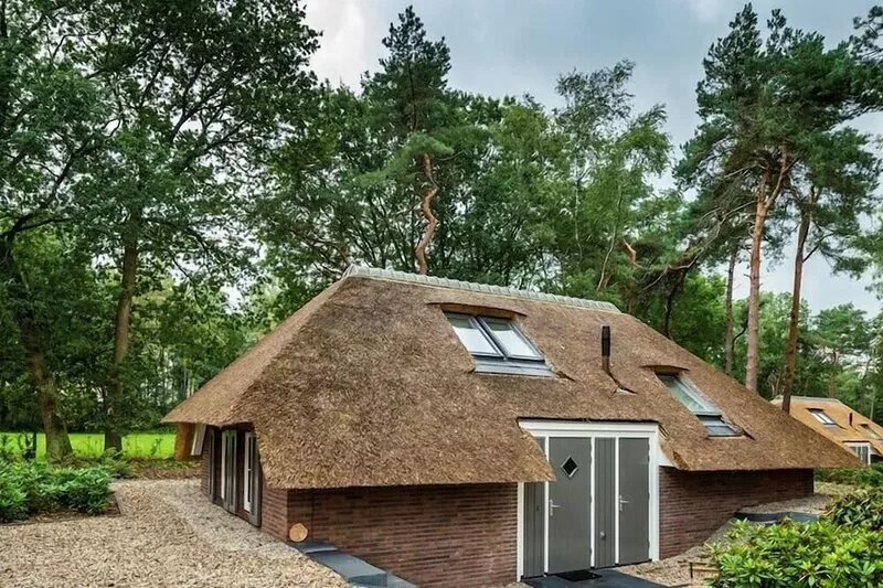 Sprielderbosch 24 Luxury holiday rental in the woody Veluwe region